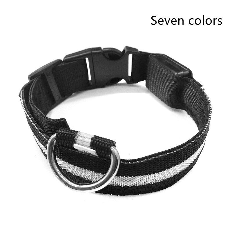 Collar Night Safety Flashing Glow in Dark Leash