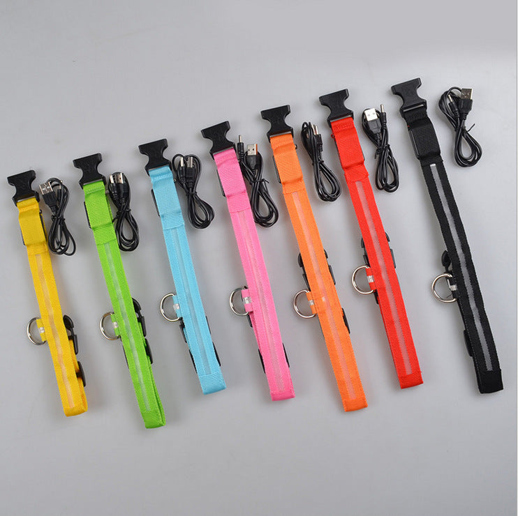 Collar Night Safety Flashing Glow in Dark Leash