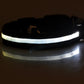 Collar Night Safety Flashing Glow in Dark Leash