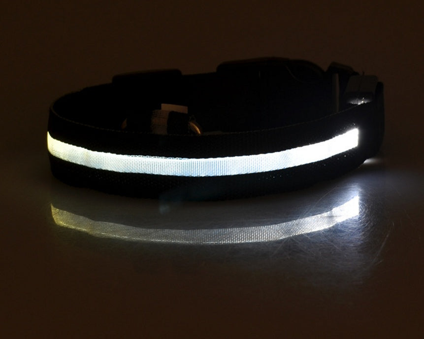 Collar Night Safety Flashing Glow in Dark Leash