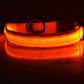 Collar Night Safety Flashing Glow in Dark Leash