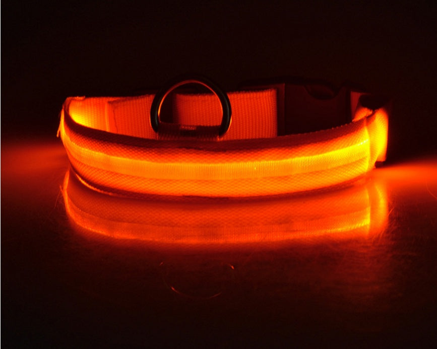 Collar Night Safety Flashing Glow in Dark Leash