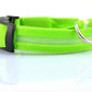 Collar Night Safety Flashing Glow in Dark Leash