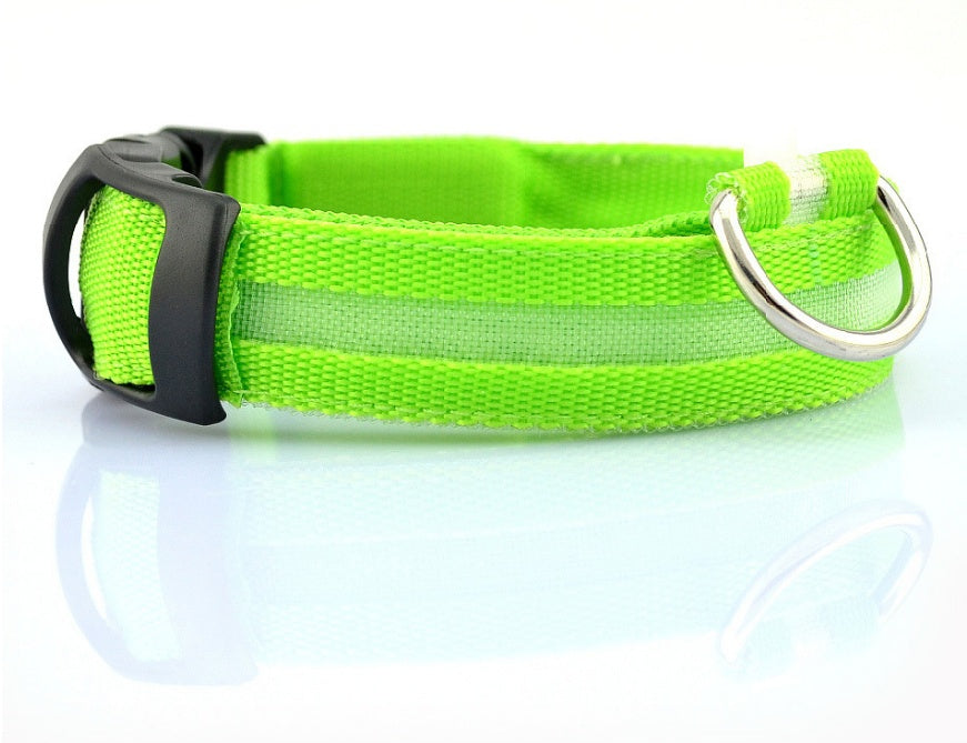 Collar Night Safety Flashing Glow in Dark Leash