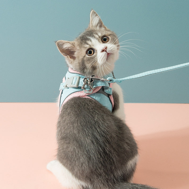 Cat Traction Rope Chest Strap To Prevent Free Pets Strap