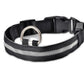 Collar Night Safety Flashing Glow in Dark Leash