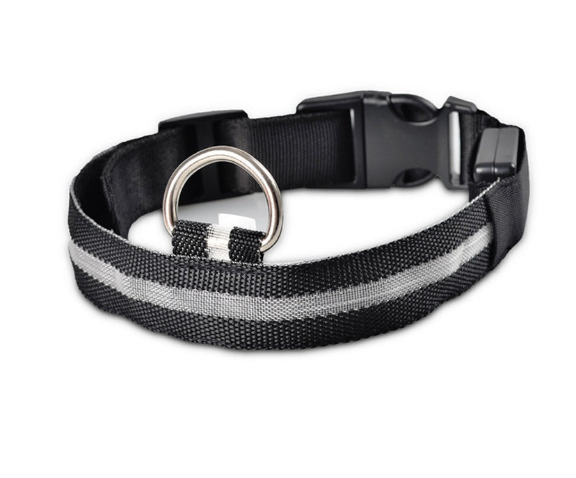 Collar Night Safety Flashing Glow in Dark Leash