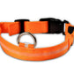 Collar Night Safety Flashing Glow in Dark Leash