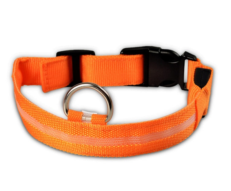 Collar Night Safety Flashing Glow in Dark Leash