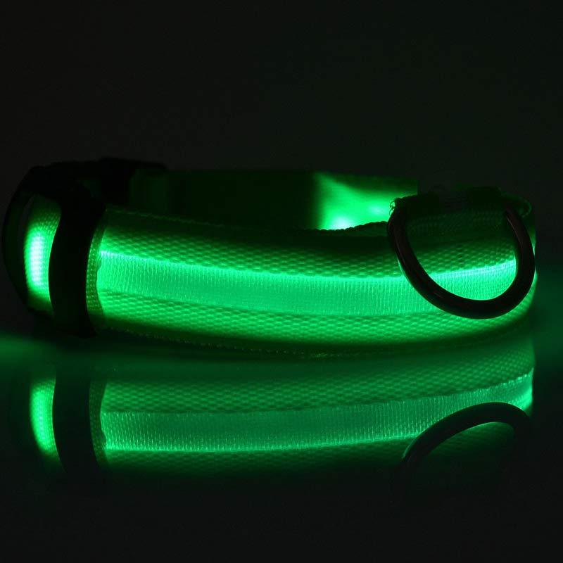 Collar Night Safety Flashing Glow in Dark Leash