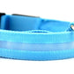 Collar Night Safety Flashing Glow in Dark Leash