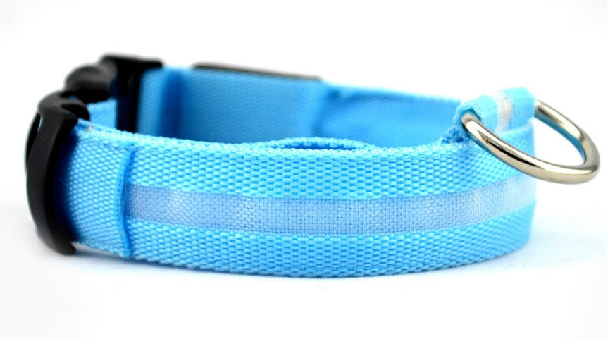 Collar Night Safety Flashing Glow in Dark Leash