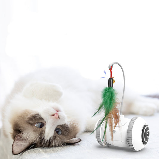 Interactive Cat Toy With Interchangeable Heads Toys