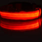 Collar Night Safety Flashing Glow in Dark Leash