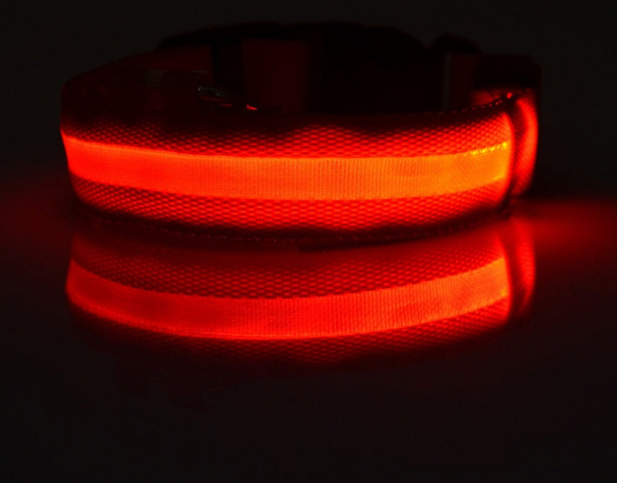 Collar Night Safety Flashing Glow in Dark Leash