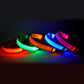 Collar Night Safety Flashing Glow in Dark Leash