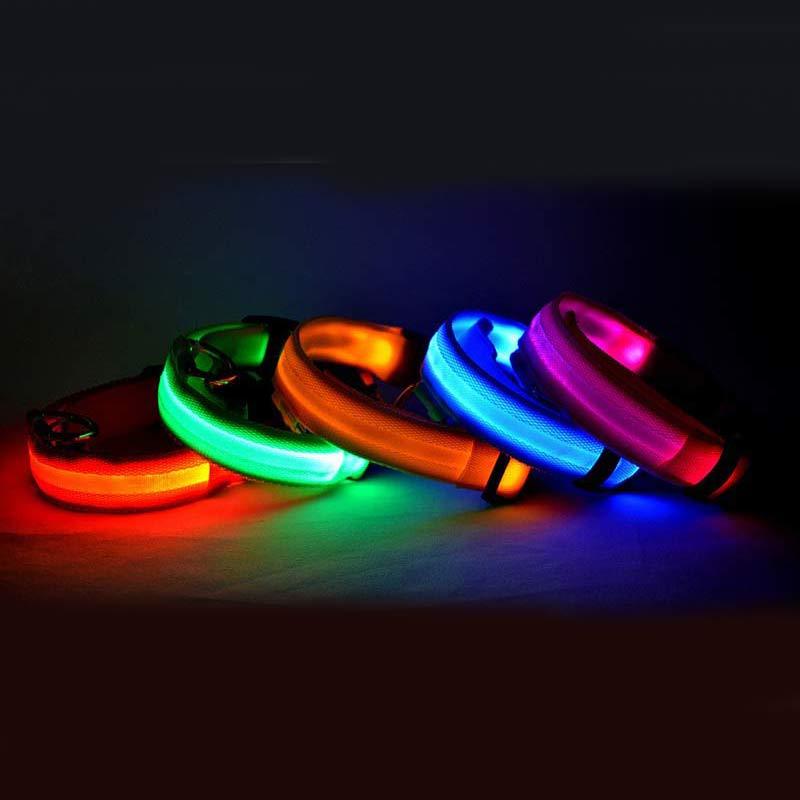 Collar Night Safety Flashing Glow in Dark Leash