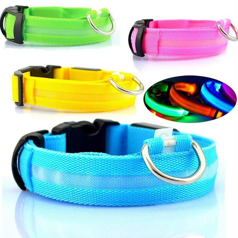 Collar Night Safety Flashing Glow in Dark Leash