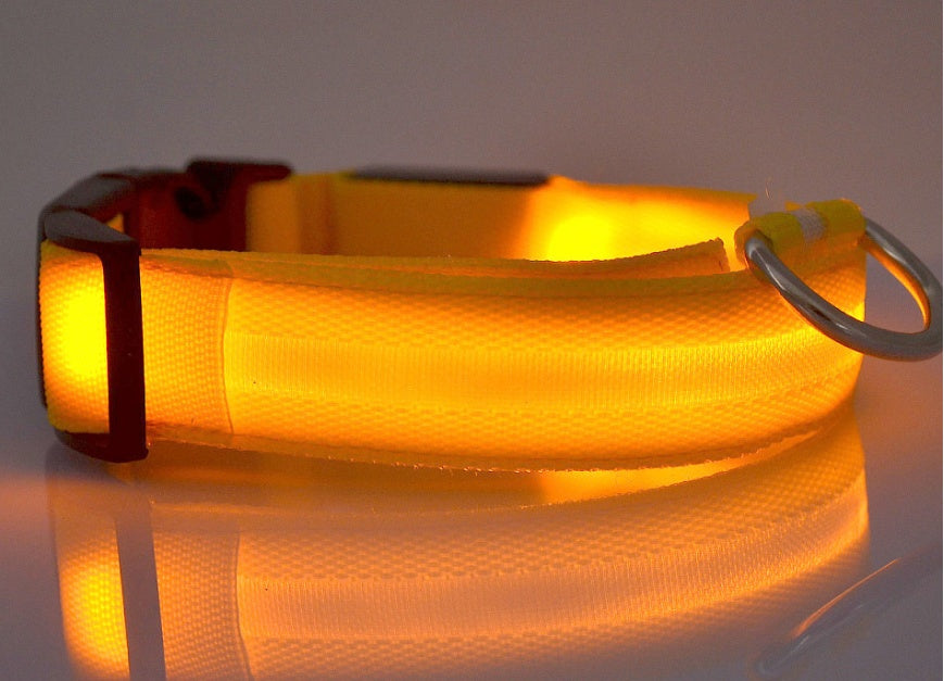 Collar Night Safety Flashing Glow in Dark Leash