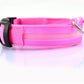Collar Night Safety Flashing Glow in Dark Leash
