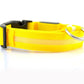 Collar Night Safety Flashing Glow in Dark Leash