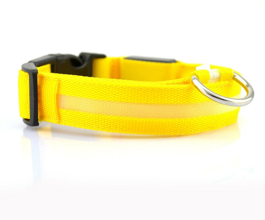 Collar Night Safety Flashing Glow in Dark Leash