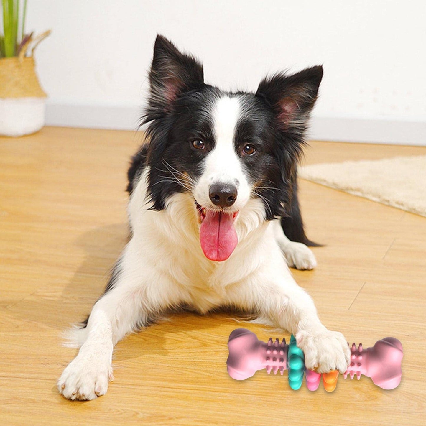 Dog Chew Toy Dog Bone Type Dogs Teeth Cleaning Toys