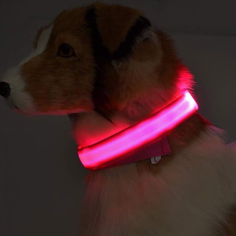 Collar Night Safety Flashing Glow in Dark Leash