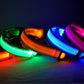 Collar Night Safety Flashing Glow in Dark Leash