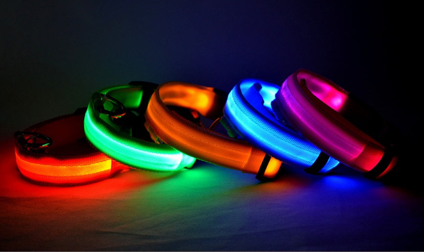 Collar Night Safety Flashing Glow in Dark Leash