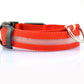 Collar Night Safety Flashing Glow in Dark Leash