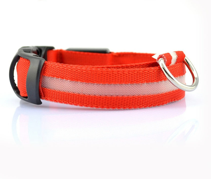 Collar Night Safety Flashing Glow in Dark Leash