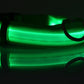 Collar Night Safety Flashing Glow in Dark Leash