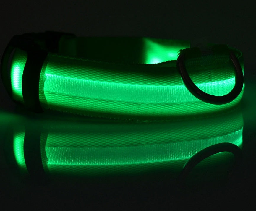 Collar Night Safety Flashing Glow in Dark Leash