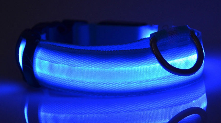 Collar Night Safety Flashing Glow in Dark Leash