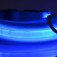 Collar Night Safety Flashing Glow in Dark Leash