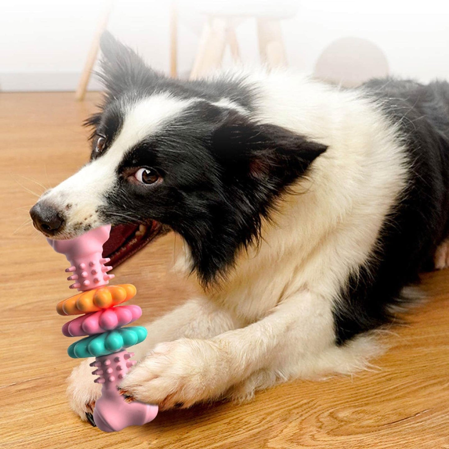Dog Chew Toy Dog Bone Type Dogs Teeth Cleaning Toys