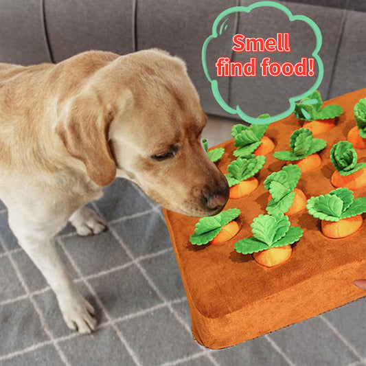 Dog Toys Carrot Plush Vegetable Chew Toy