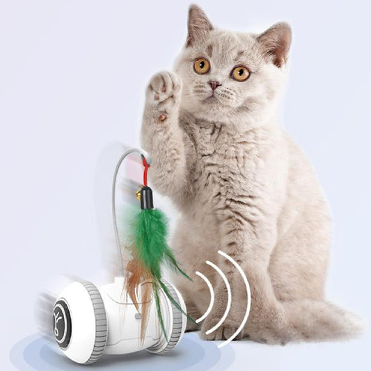 Interactive Cat Toy With Interchangeable Heads Toys